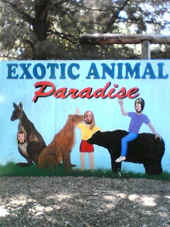 drive thru animal park.jpg